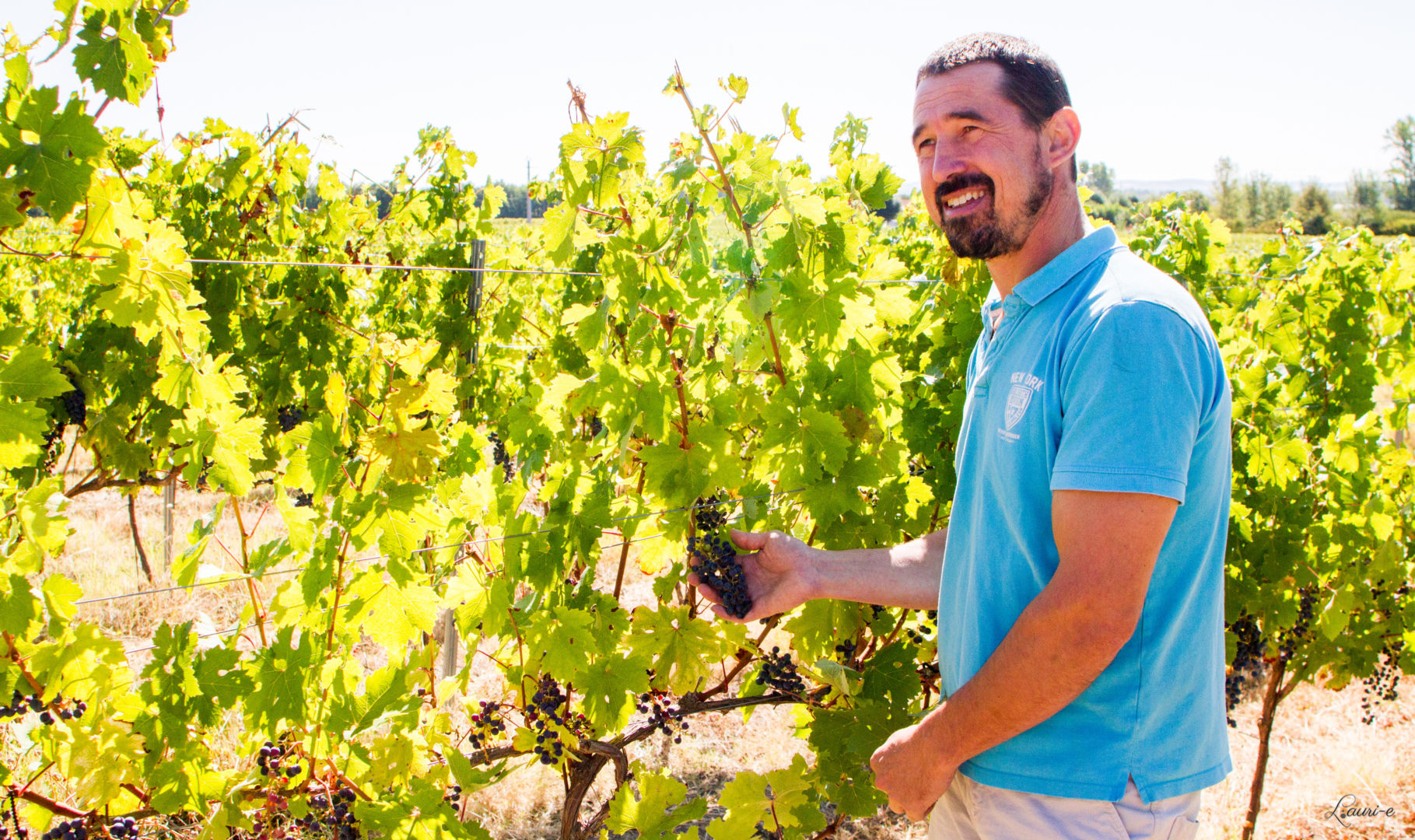 Vin Rosé Doux cuvée La Rose - Saint-Laurent de Saurs