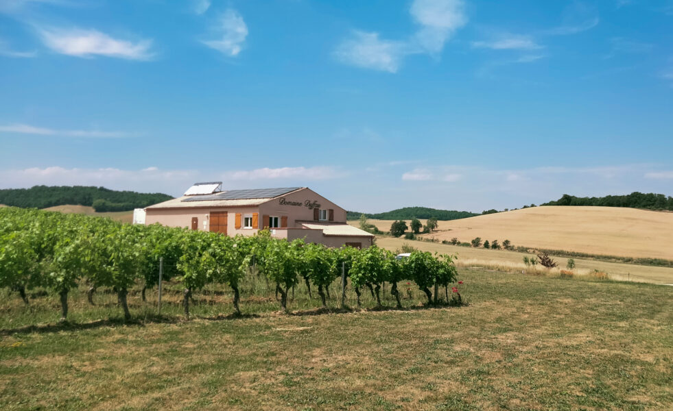 le Domaine Duffau
